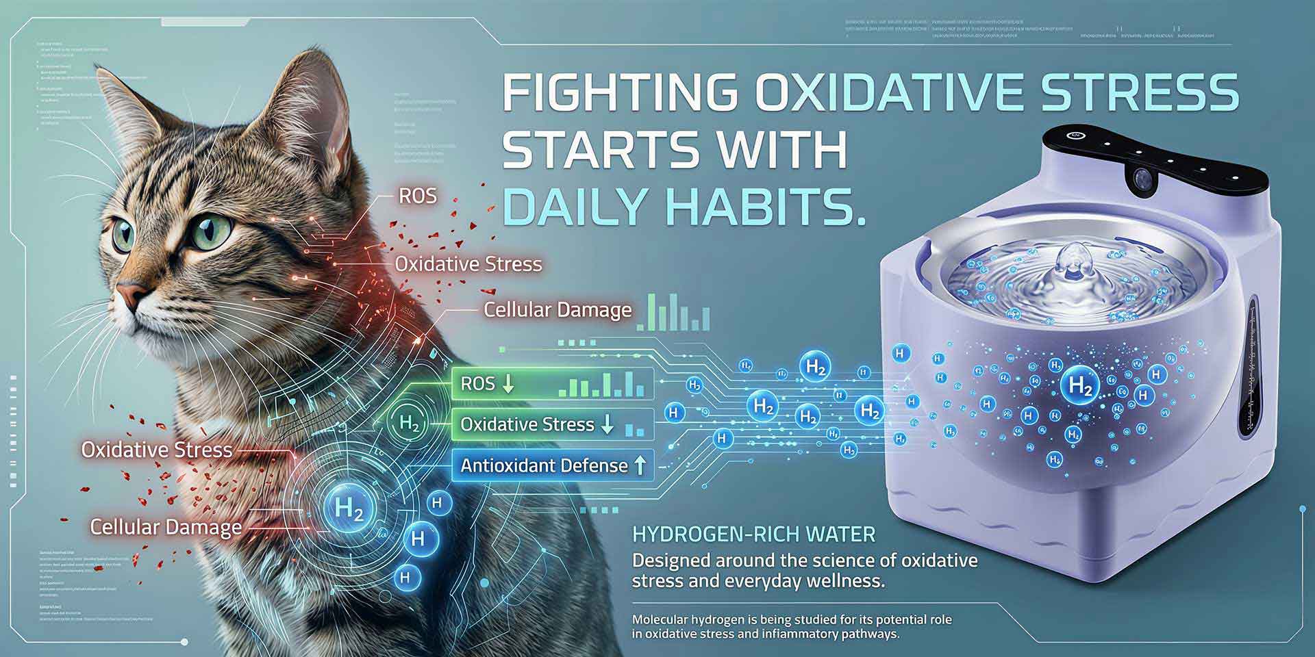 Why Yanranyl Sees Hydrogen Pet Wellness as a Long-Term Market Opportunity