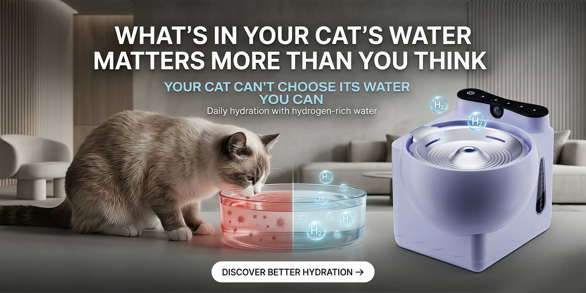 Building a New Pet Wellness Category: Yanranyl's Approach to Distributor Partnerships